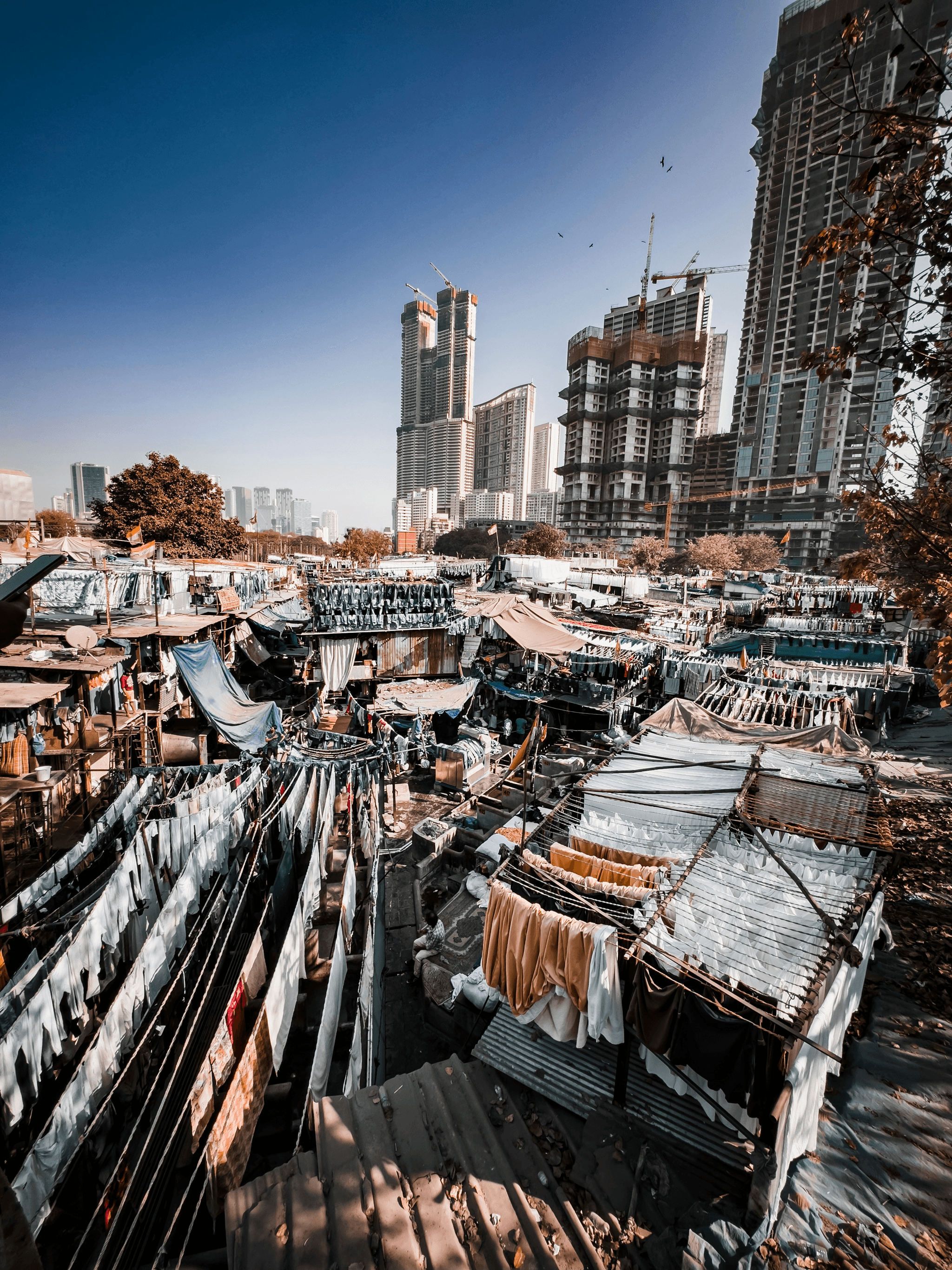 container house cost location impact