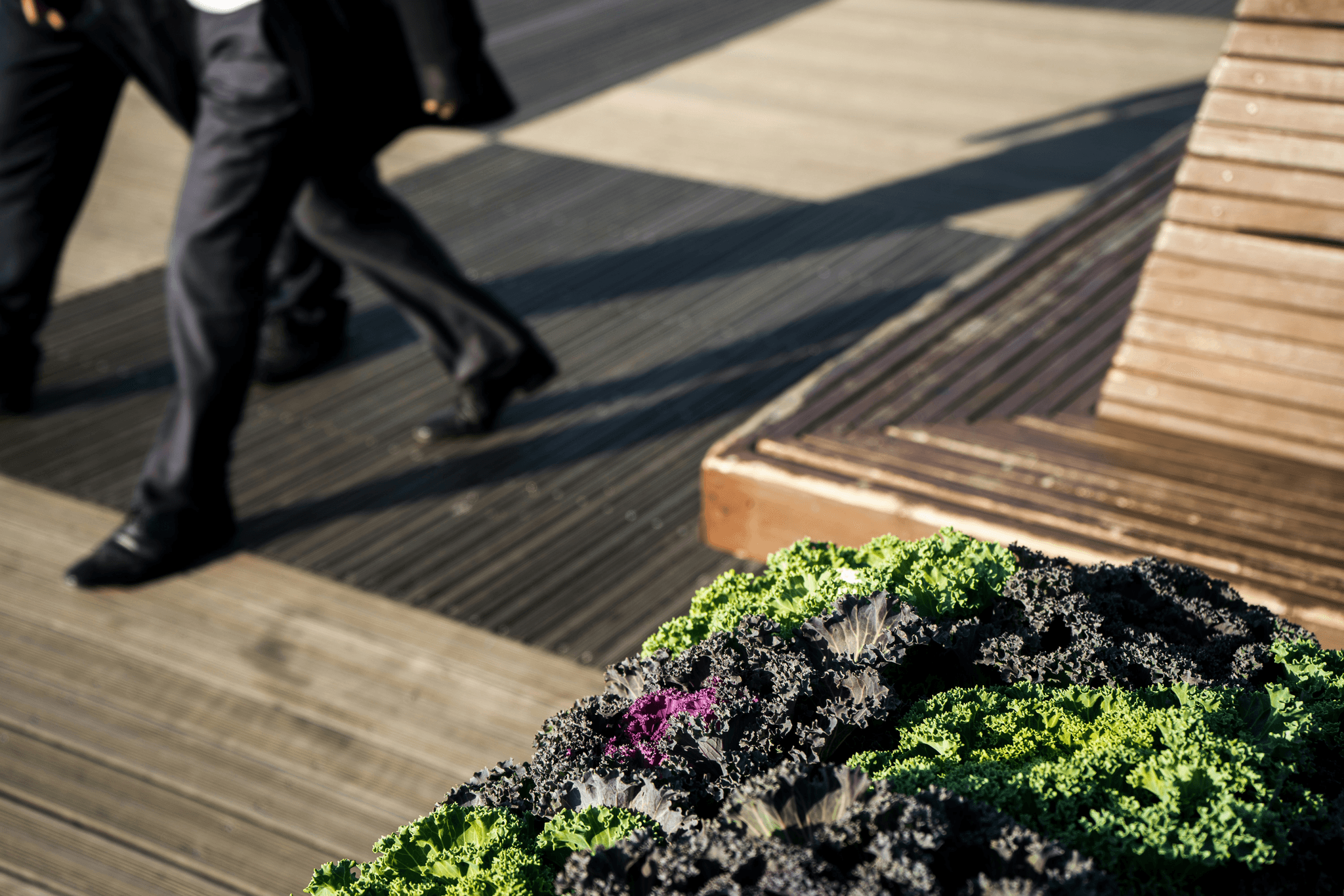 is trex safe for raised garden beds? Comparison image showing wooden vs composite deck gardening.