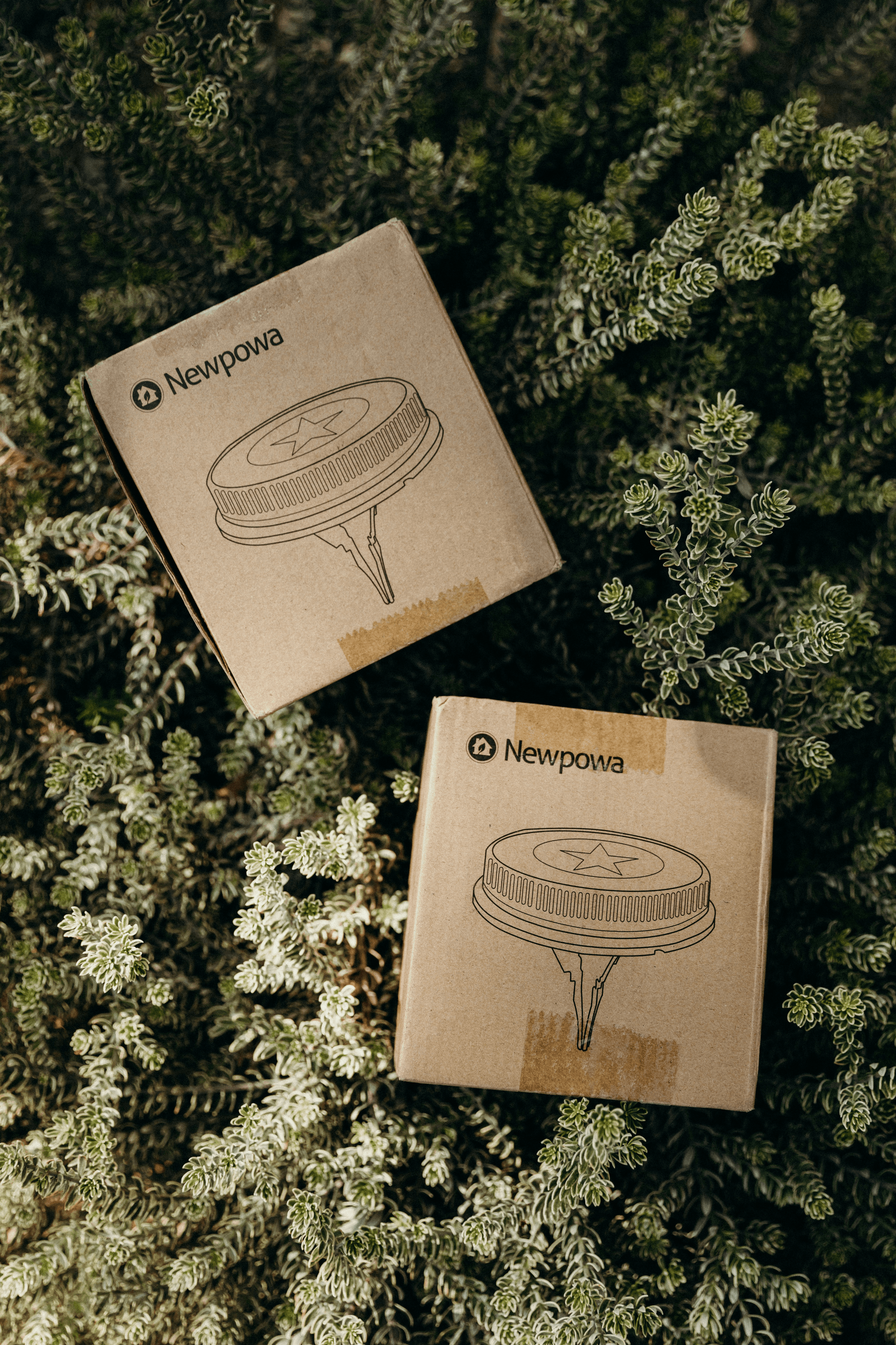 Eco-friendly packaging at sustainable coffee shop in a shipping container