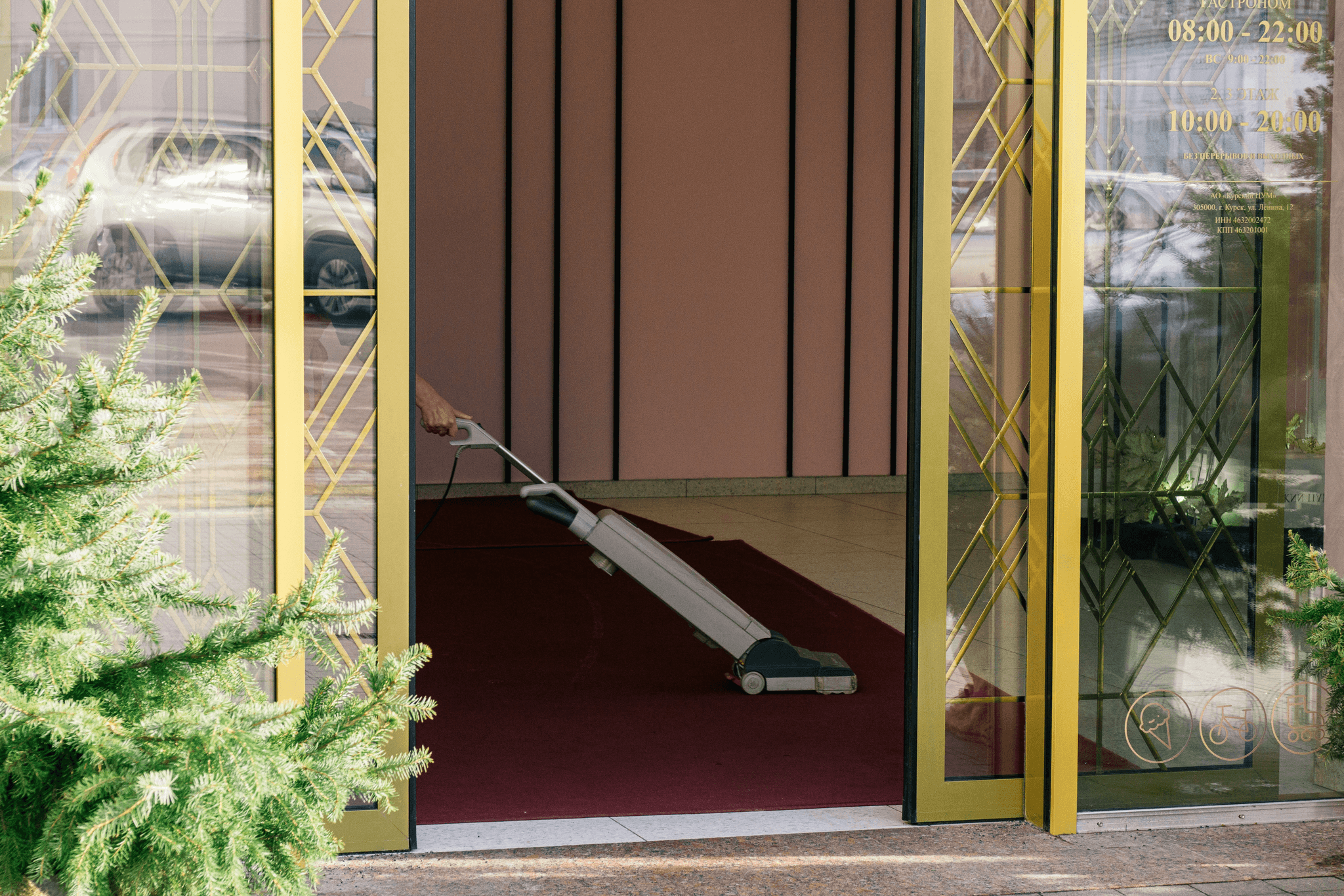 Best pet fur remover for upholstery and carpets