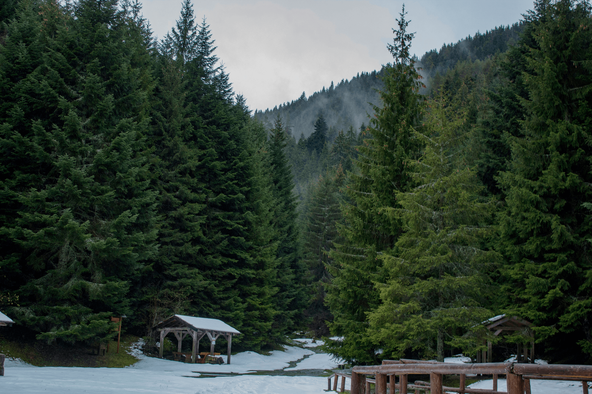 Escape to Tranquility at Apple Cabin