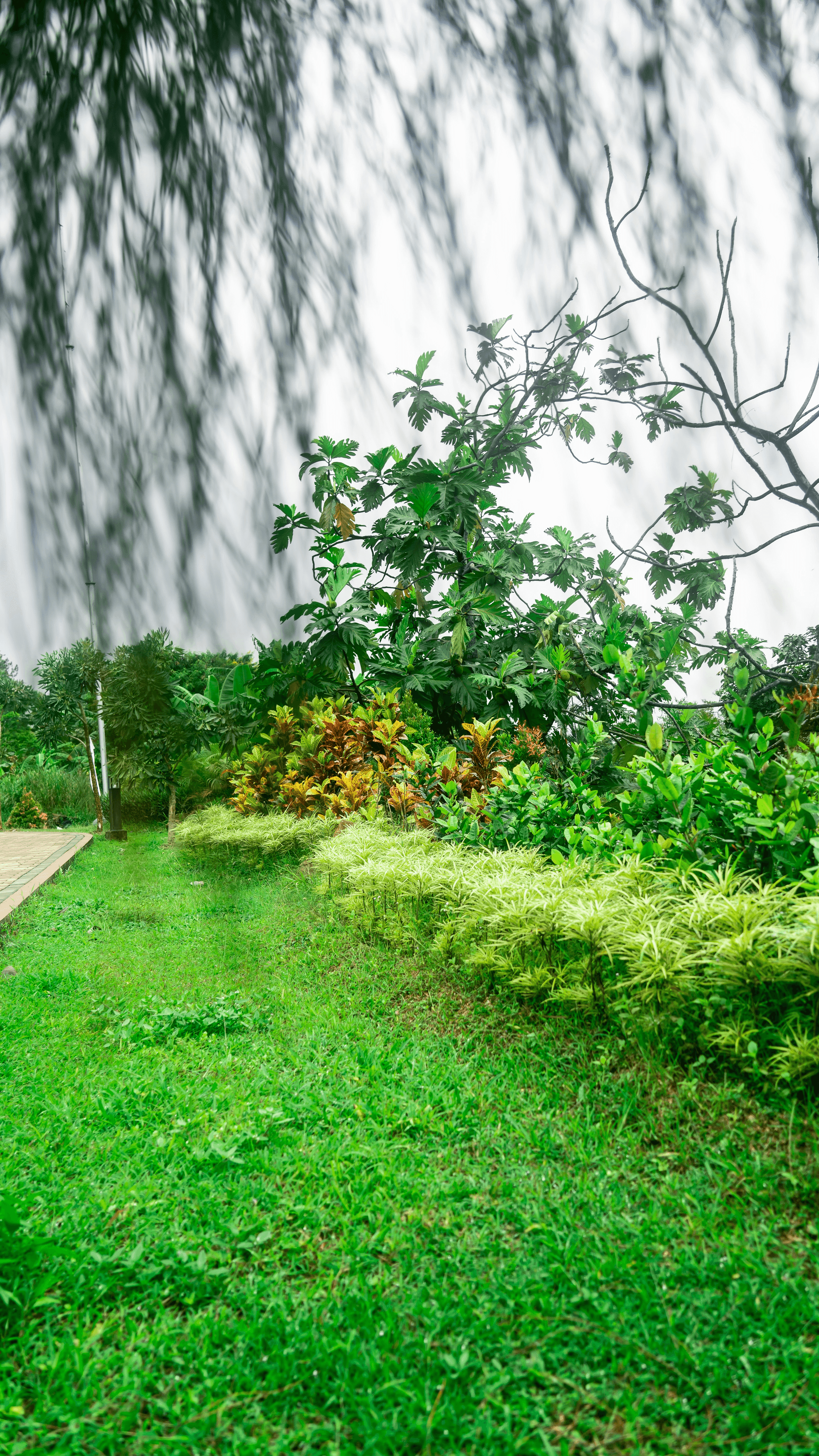 a landscape representing sustainability and procurement themes