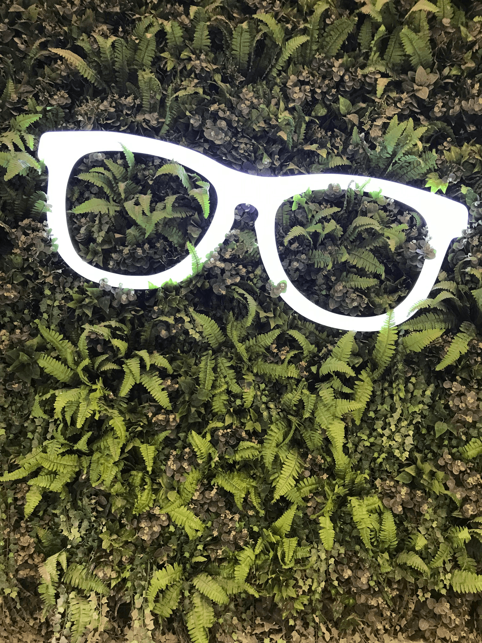 Stylish eco friendly blue light glasses protecting eyes from harmful rays