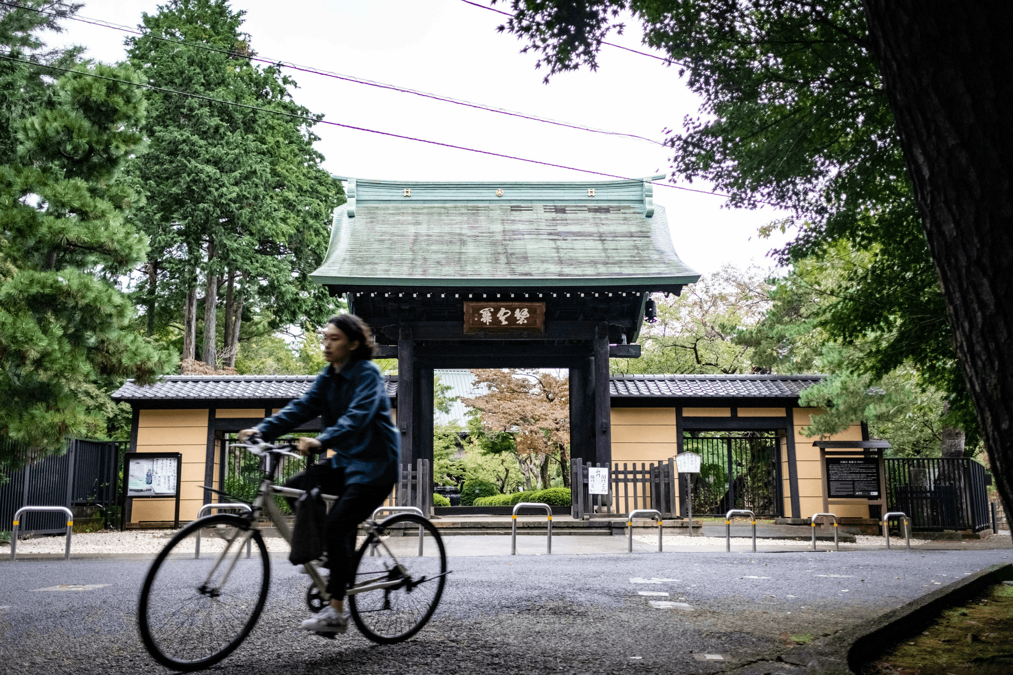 京都　寺　旅行　自転車