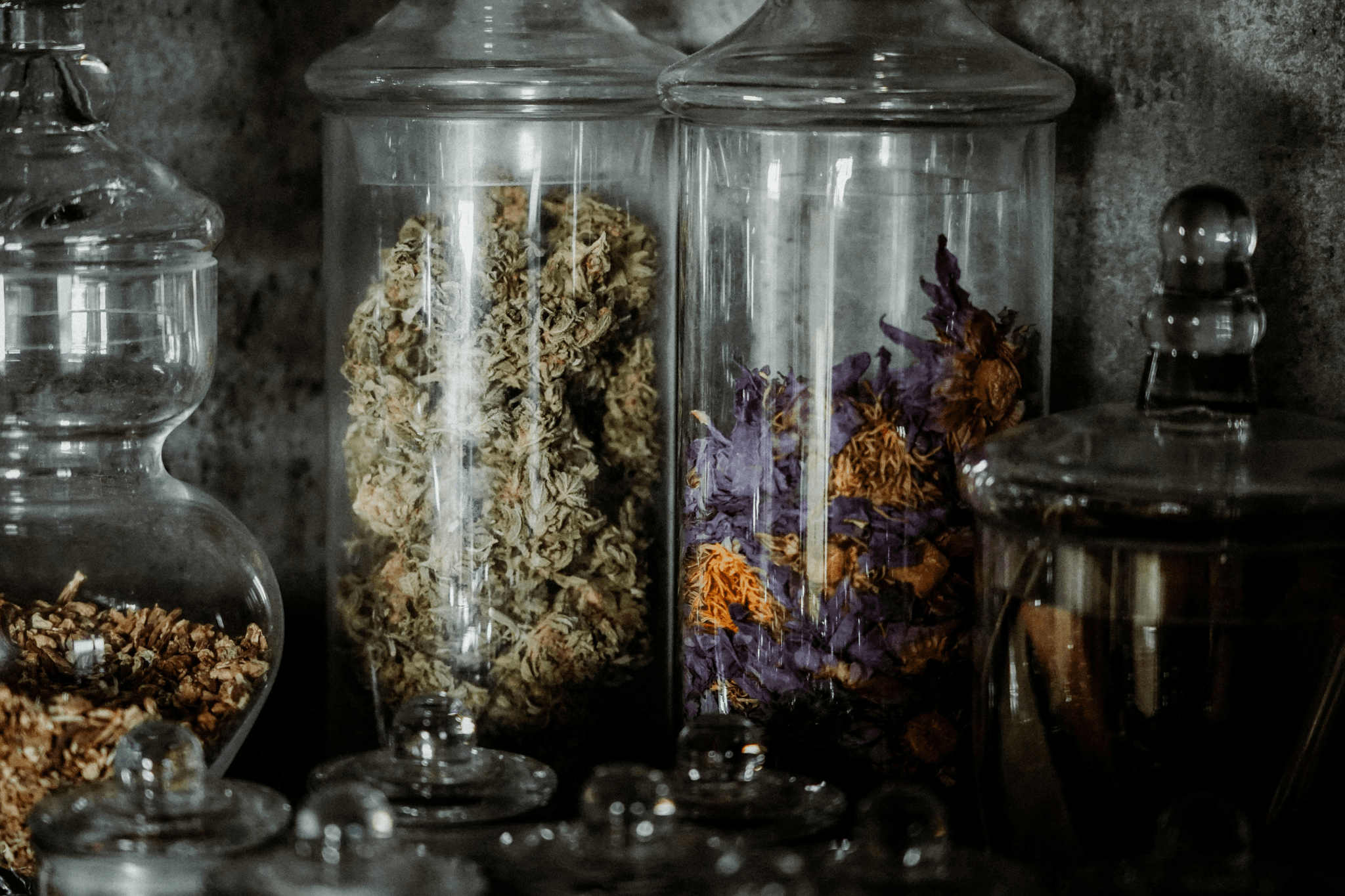Wholesale Dried Flowers and Herbs display on wooden shelf