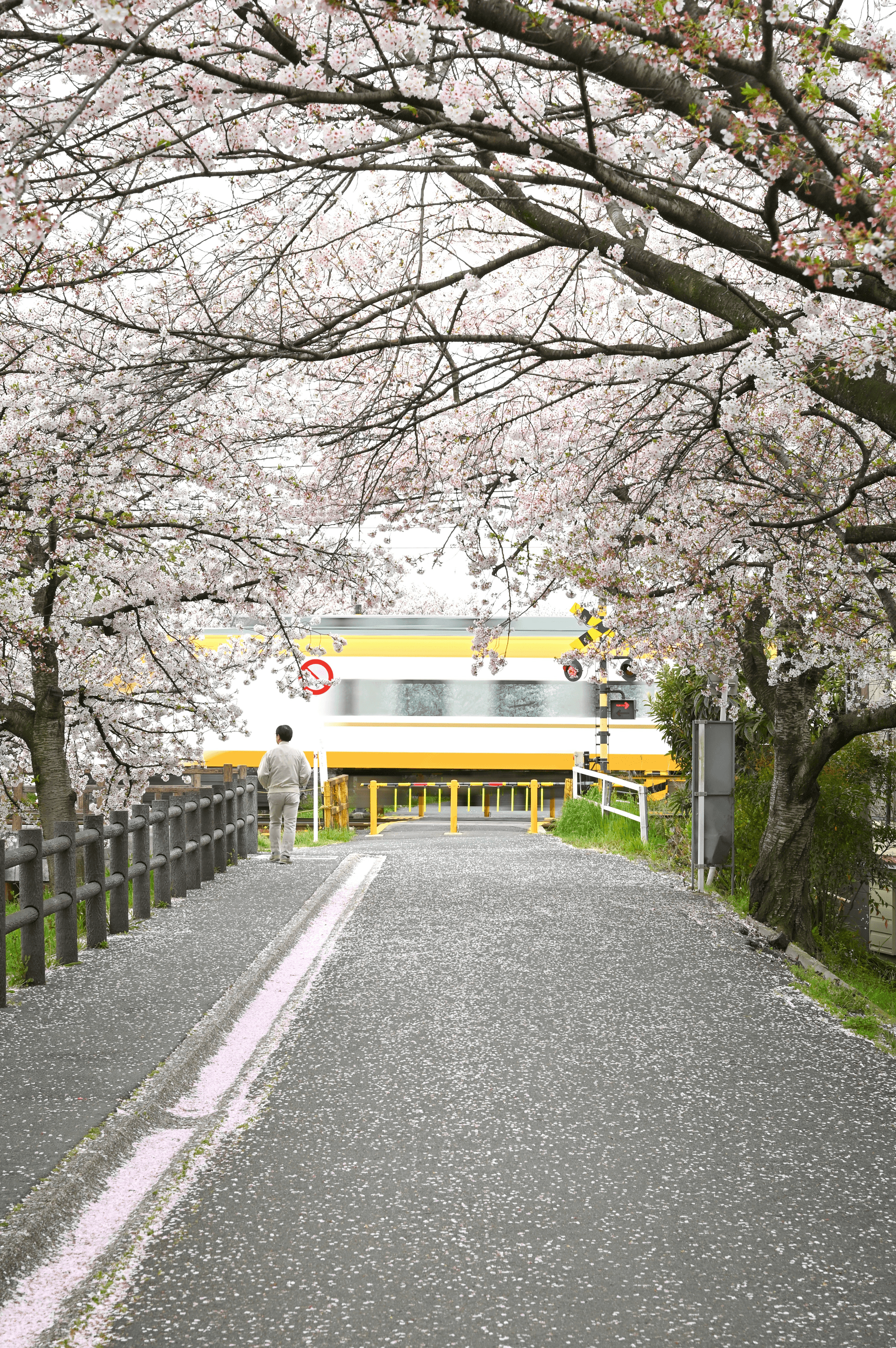 尋找寵物友善場地？為毛孩決定場地前必先了解的6件事｜場地租借小百科｜療寮生活館｜江子翠．板橋 活動場地 藝文空間