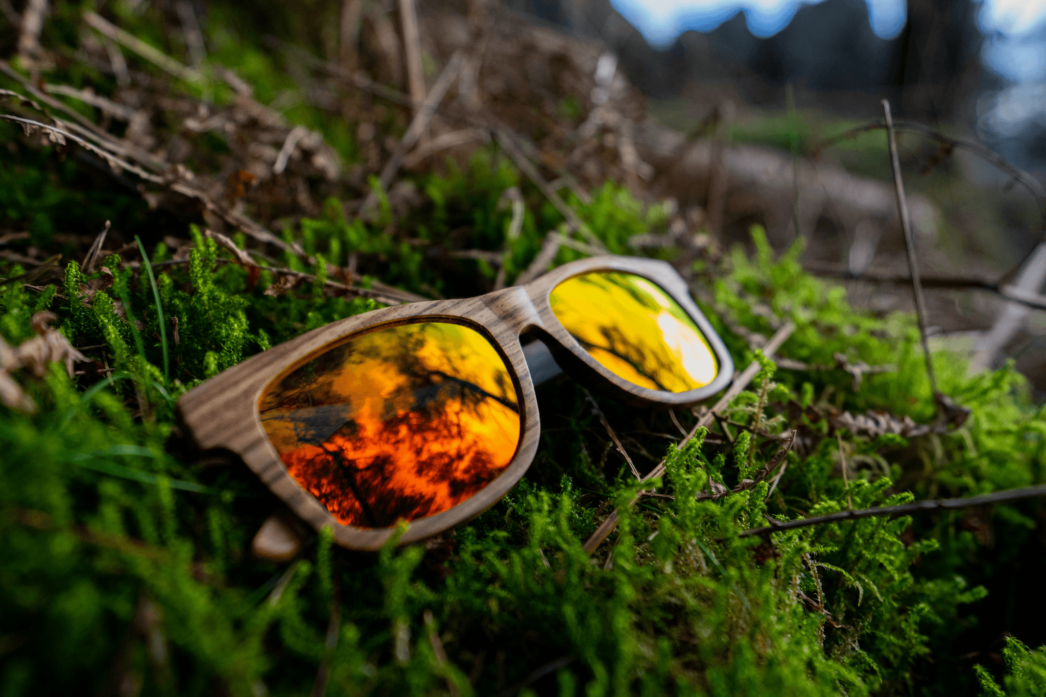 sustainable eyewear from Proof Eyewear showcases eco-friendly design.