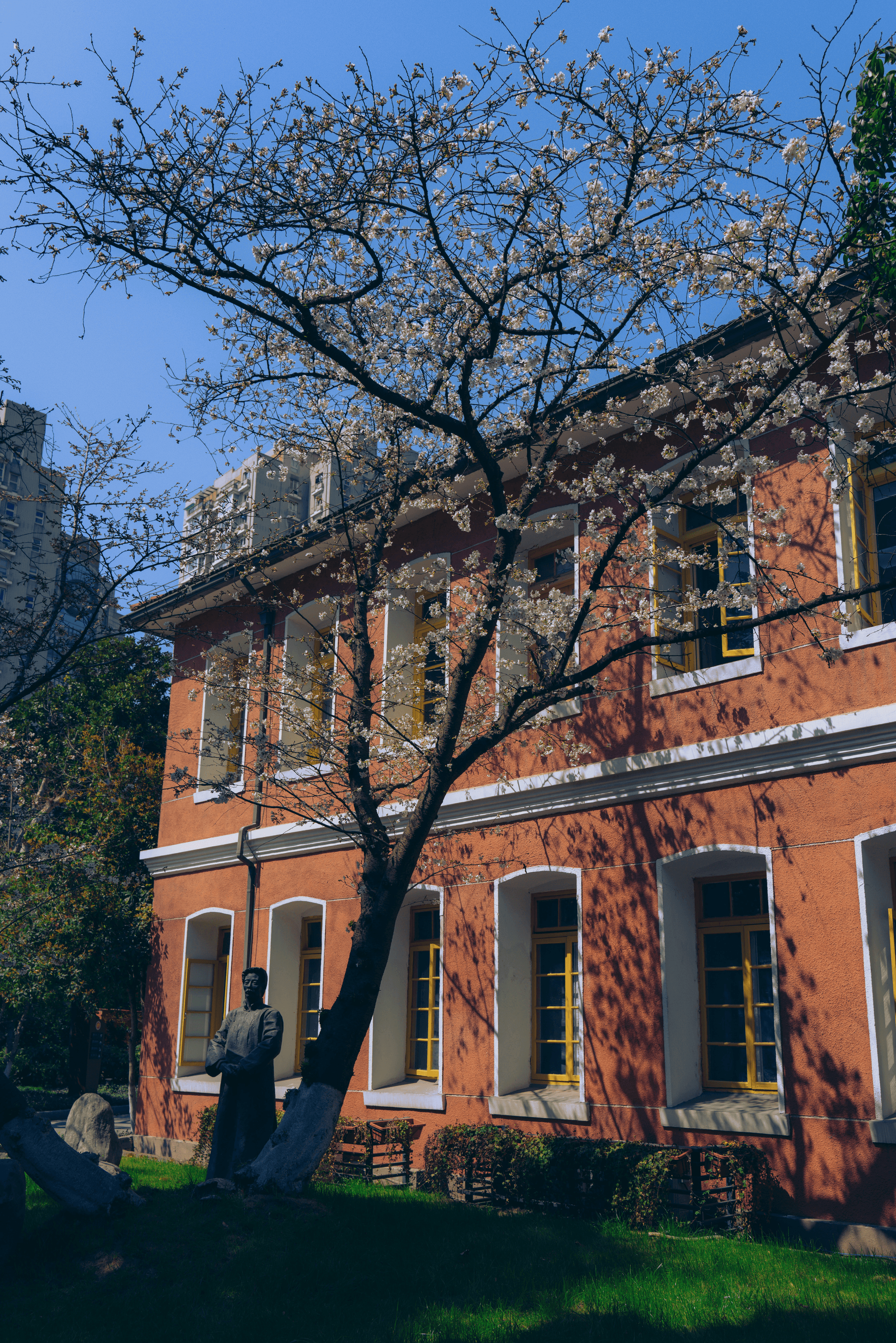 innovative china school building design incorporating sustainable materials