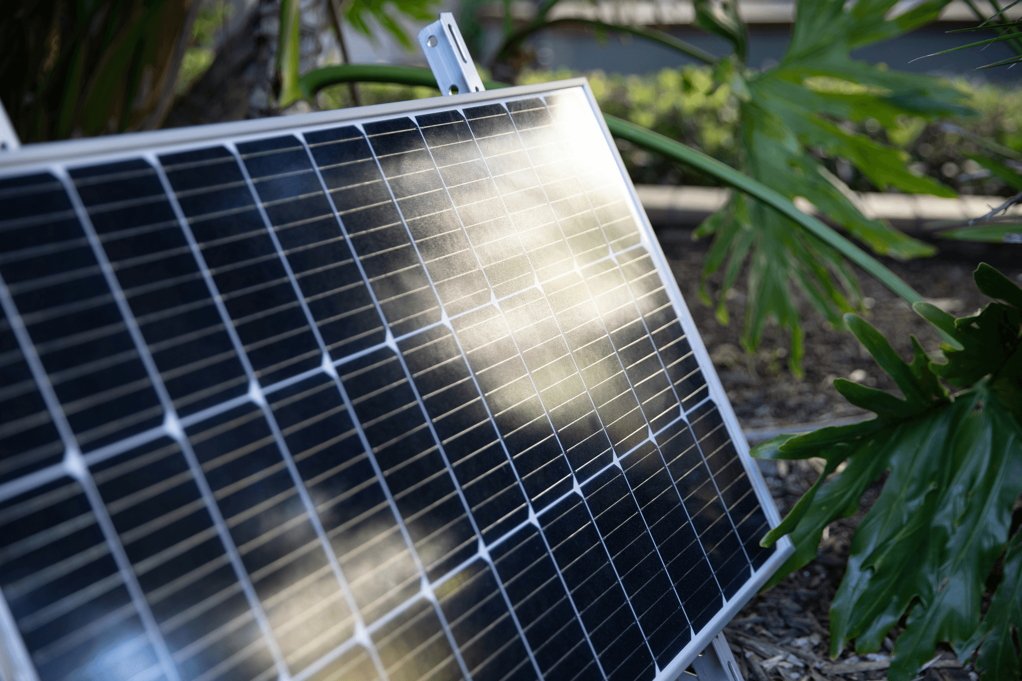 die PERC-Technologie wählen