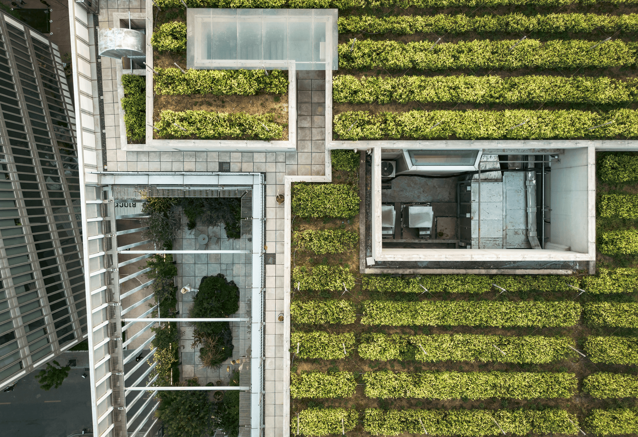 Green roof and vertical garden in a sustainable capsule home