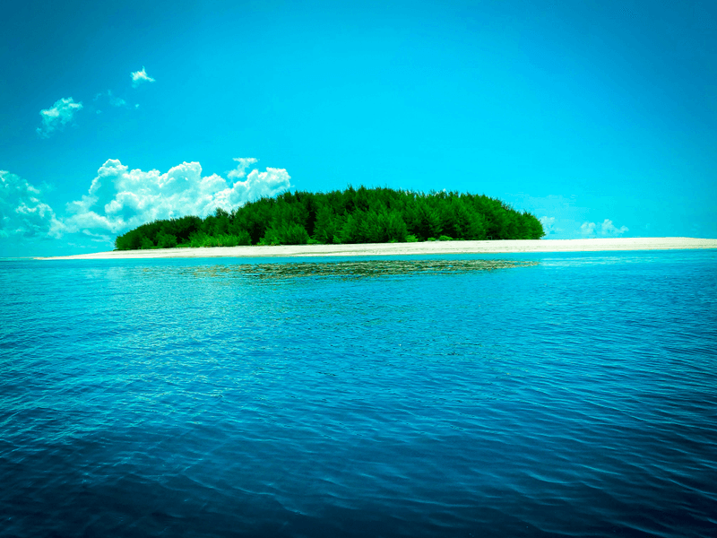 Into the Sea
