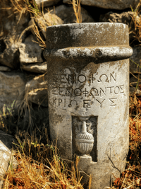 Section image